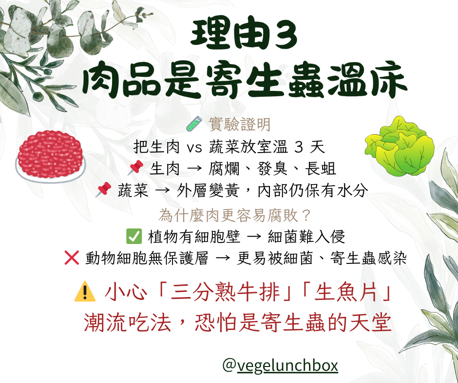 吃素的理由3肉品是寄生蟲溫床~愛吃生魚片和三分熟牛排的人真的要小心!肉類比植物更容易腐敗和被寄生蟲感染，是因為植物有堅固的細胞壁，但是動物沒有。