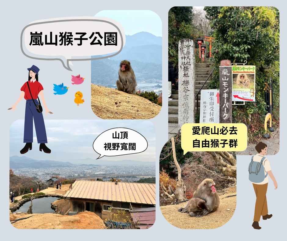 嵐山推薦行程~嵐山猴子公園喜歡爬山必去