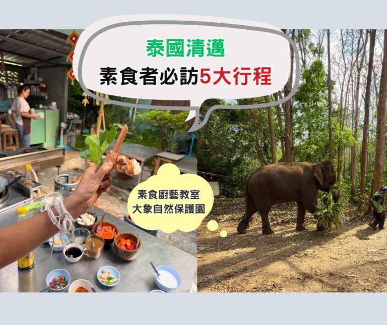 清邁素食旅遊怎麼玩？為素友統整必訪的清邁素食5大行程攻略，帶你入住純素旅館 Green Tiger House、體驗正宗泰式素食料理教室，大象保護園區和清萊廟宇的一日遊防雷指南，輕鬆避開鍋邊素陷阱。同場加映假日必逛的真心市集、7-11素食備餐技巧、換匯所推薦和Bolt叫車教學。趕快收藏這份實用懶人包，出國也能吃得安心、玩得開心。