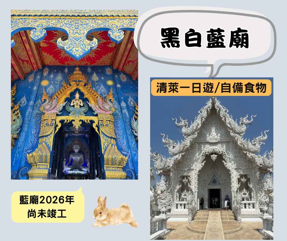 清邁素食旅遊|素食者必訪5大行程攻略 5 清邁素食注意點~白廟、藍廟、黑廟~清萊一日遊